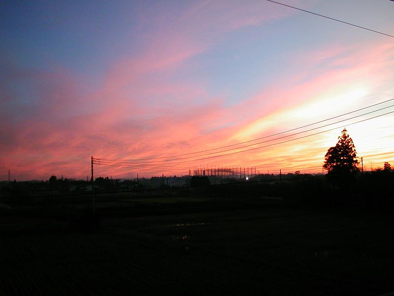 ���C���C���[�W